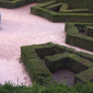 Maze Center